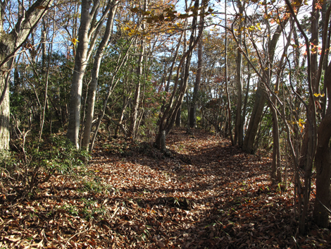 20181115hike (218)